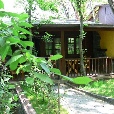 Dolunay Fanizan Hotel Fatsa エクステリア 写真