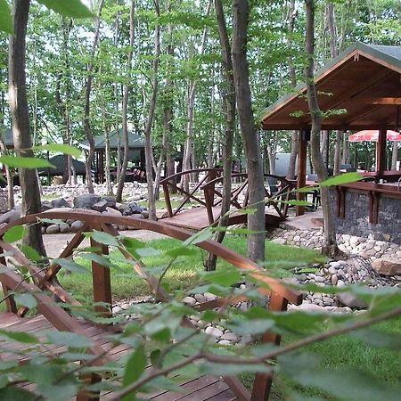 Dolunay Fanizan Hotel Fatsa エクステリア 写真