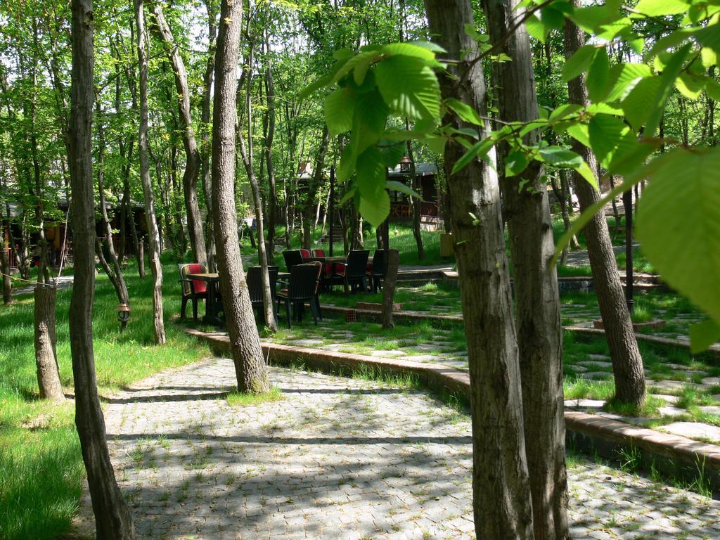 Dolunay Fanizan Hotel Fatsa エクステリア 写真