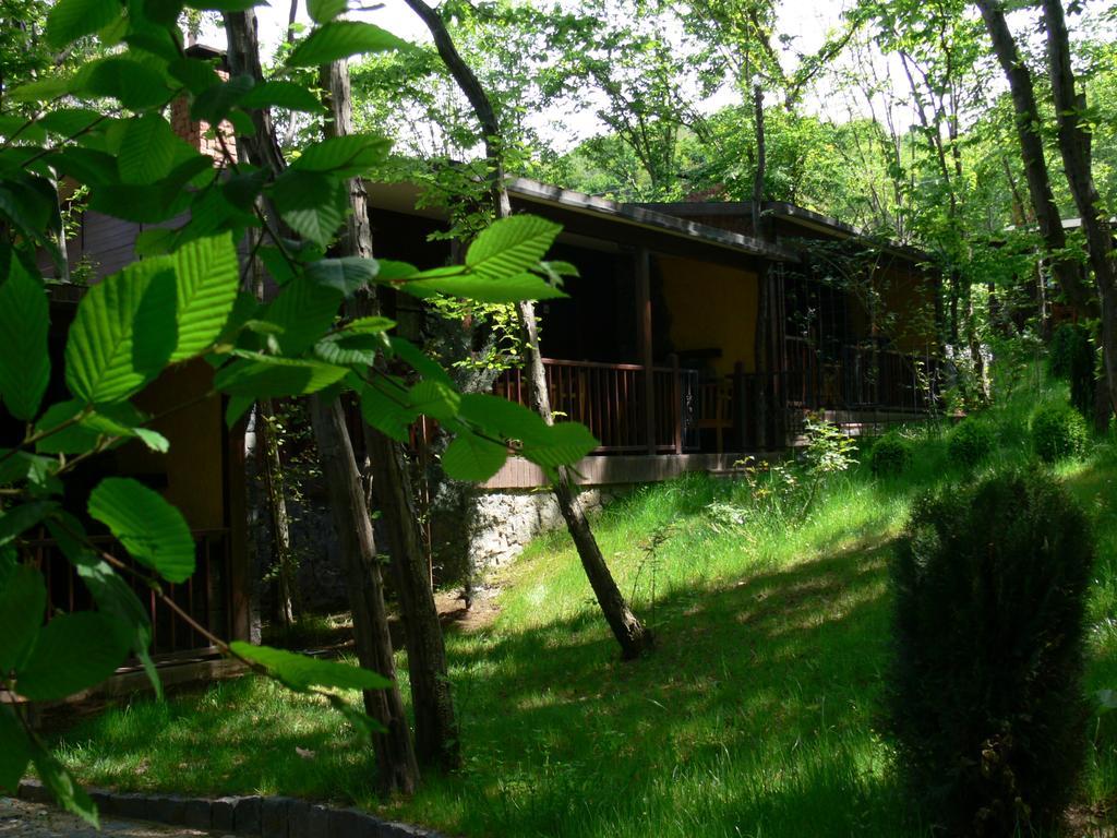 Dolunay Fanizan Hotel Fatsa 部屋 写真